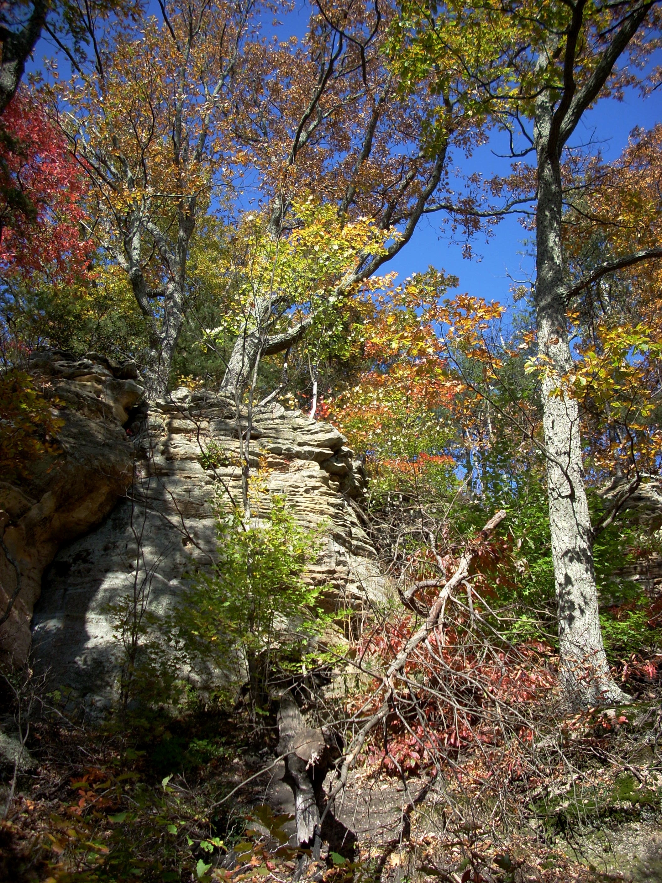 Pilot Knob Trail